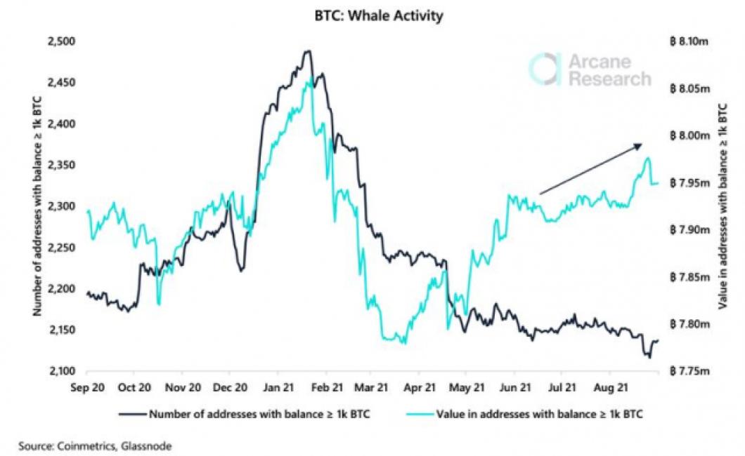 whale charts crypto: the pros 