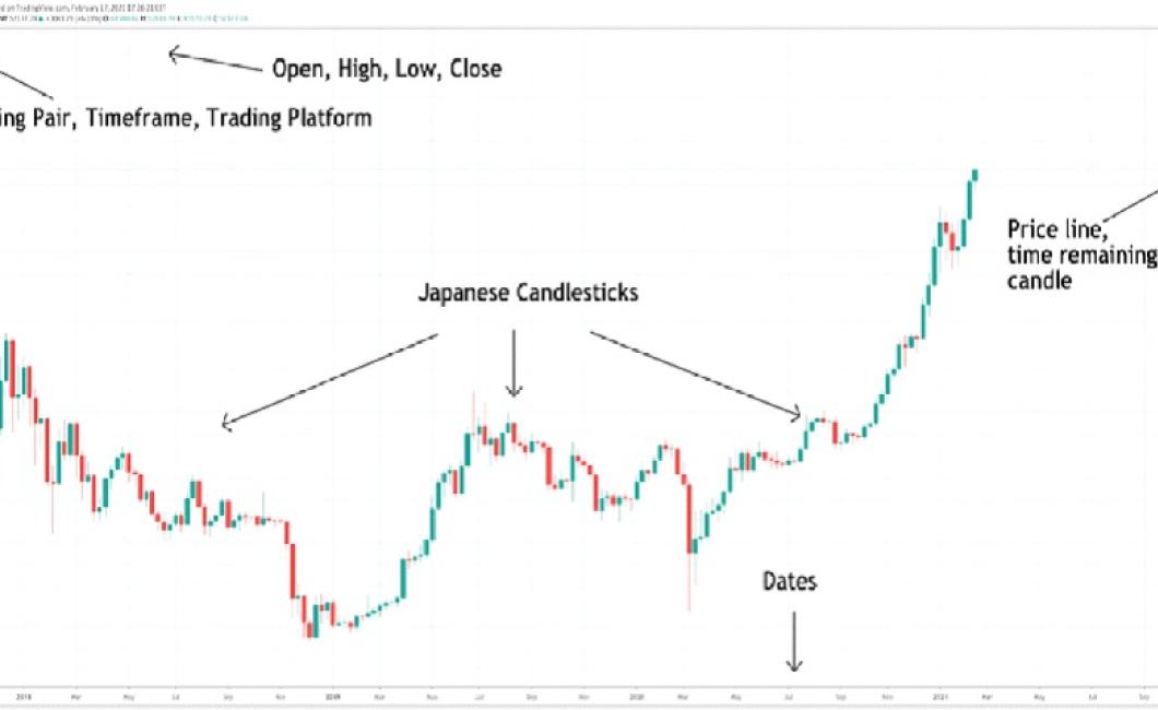 How to use crypto charts for b